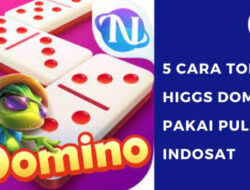 7 Cara Top Up Higgs Domino Pakai Pulsa Indosat Termurah