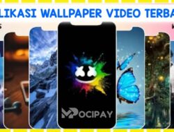15 Aplikasi Wallpaper Video Terbaik di Android : Gratis & Keren