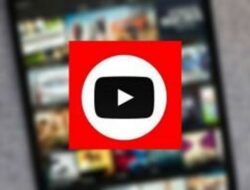 XnView Indonesia Apk, Pemandang Gambar dan Video dengan Fitur-fitur Menarik